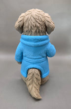 Golden Retriever: Sorriso de Pijama