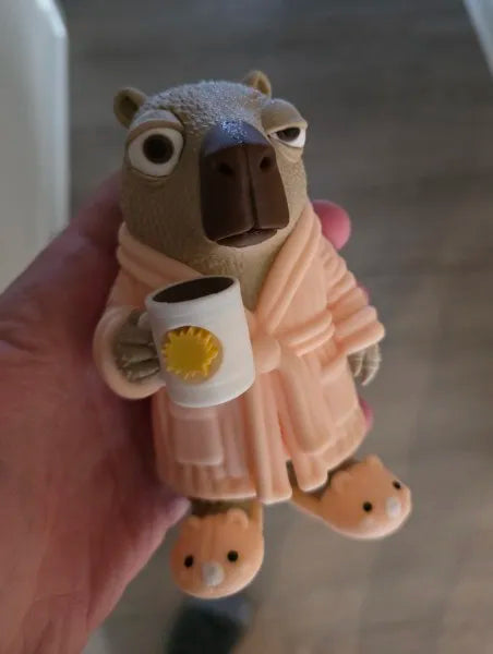 Capivara de Roupão: Modo Relax Ativado